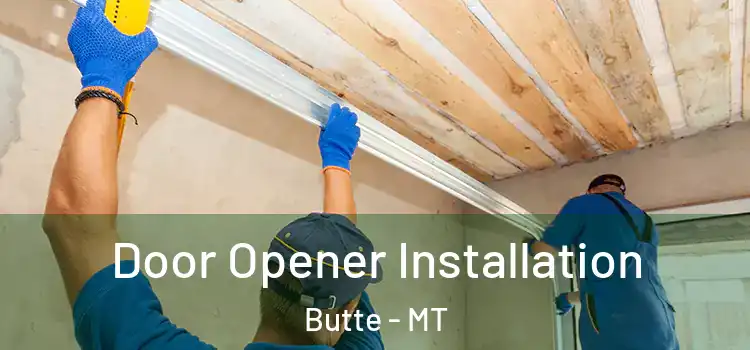 Door Opener Installation Butte - MT