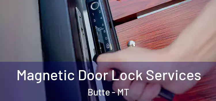 Magnetic Door Lock Services Butte - MT